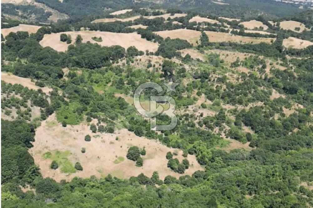 BALIKESİR BALYA ORHANLARDA 3.005 M² FIRSAT SATILIK TARLA