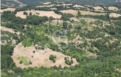 BALIKESİR BALYA ORHANLARDA 3.005 M² FIRSAT SATILIK TARLA