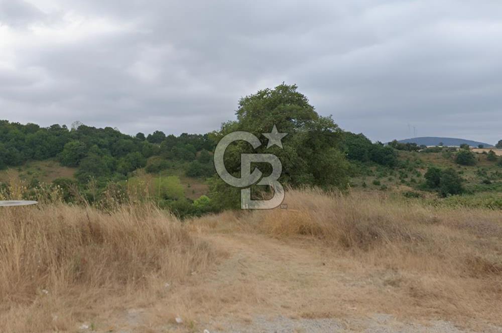 BALIKESİR KARESİ ARMUTALAN'DA 4561 M2 SATILIK TARLA