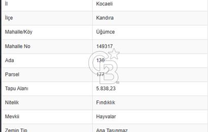 KANDIRA ÜĞÜMCEDE KONUM VE ŞEKLİYLE MÜKEMMEL 5838M2 SATILIK TARLA