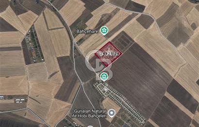 Gölbaşı Günalan Bahçehare'de 466 m² Köşe Parsel Bahçe