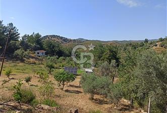 ORHANLİDA YOLA CEPHELİ RUHSATLİ SU KUYUSU BULUNAN ZEYTİNLİ TARLA  - 12 - 359185