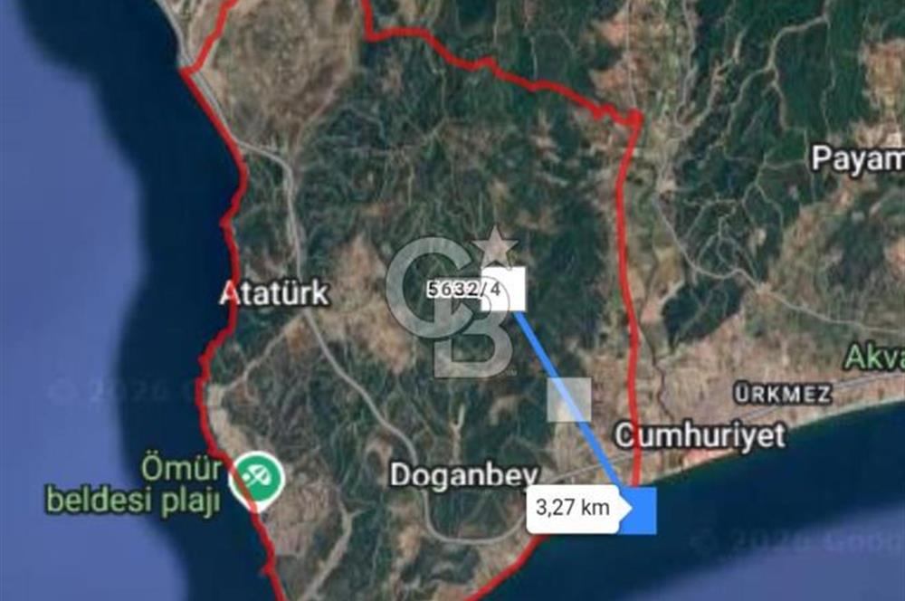 İzmir Seferihisar'da Satılık Zeytinlik