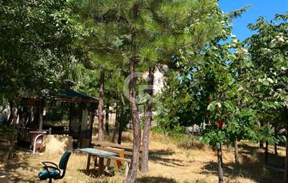 YENİKENT TOKİ  ORTAPINAR KONUTLARINDA 1+1 EŞYALI KİRALIK DAİRE