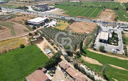 Manisa Salihli Caferbey Satılık Sanayi Arsası