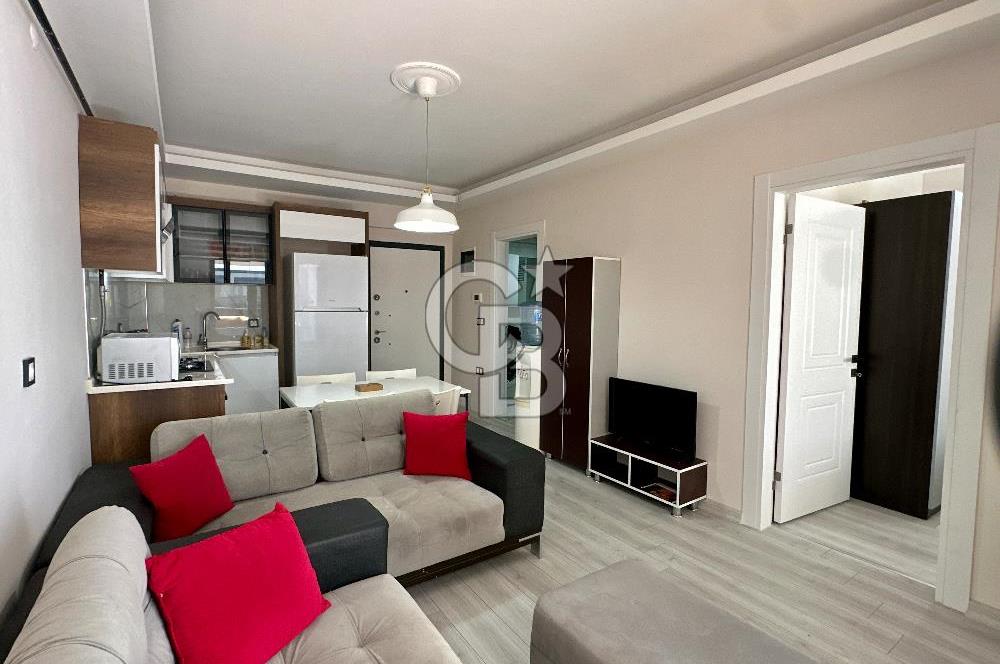 Seyrek'te Üniversiteye Çok Yakın Sıfır 1+1 Eşyalı Kiralık Daire
