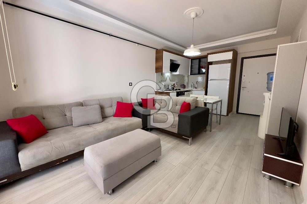 Seyrek'te Üniversiteye Çok Yakın Sıfır 1+1 Eşyalı Kiralık Daire