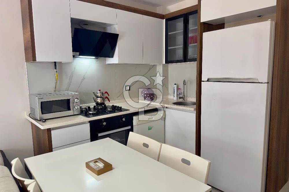 Seyrek'te Üniversiteye Çok Yakın Sıfır 1+1 Eşyalı Kiralık Daire