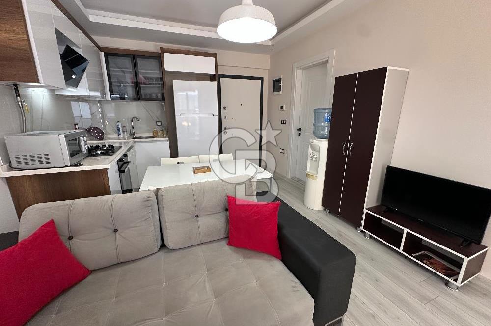 Seyrek'te Üniversiteye Çok Yakın Sıfır 1+1 Eşyalı Kiralık Daire