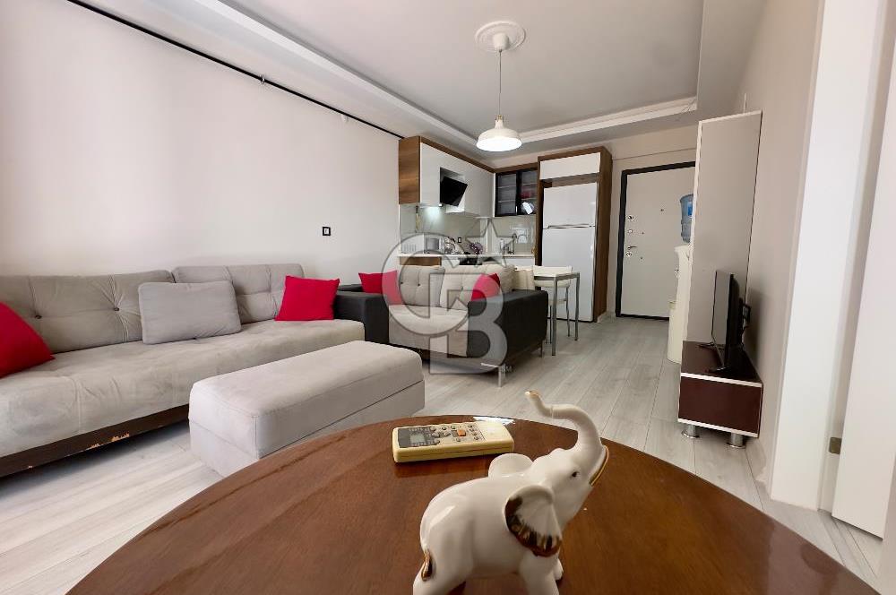 Seyrek'te Üniversiteye Çok Yakın Sıfır 1+1 Eşyalı Kiralık Daire