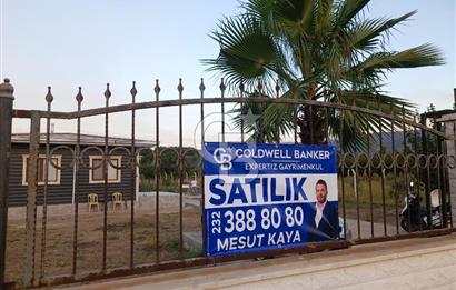 Kemalpaşa Armutlu Satılık Bağ Evi Ve Bahçesi