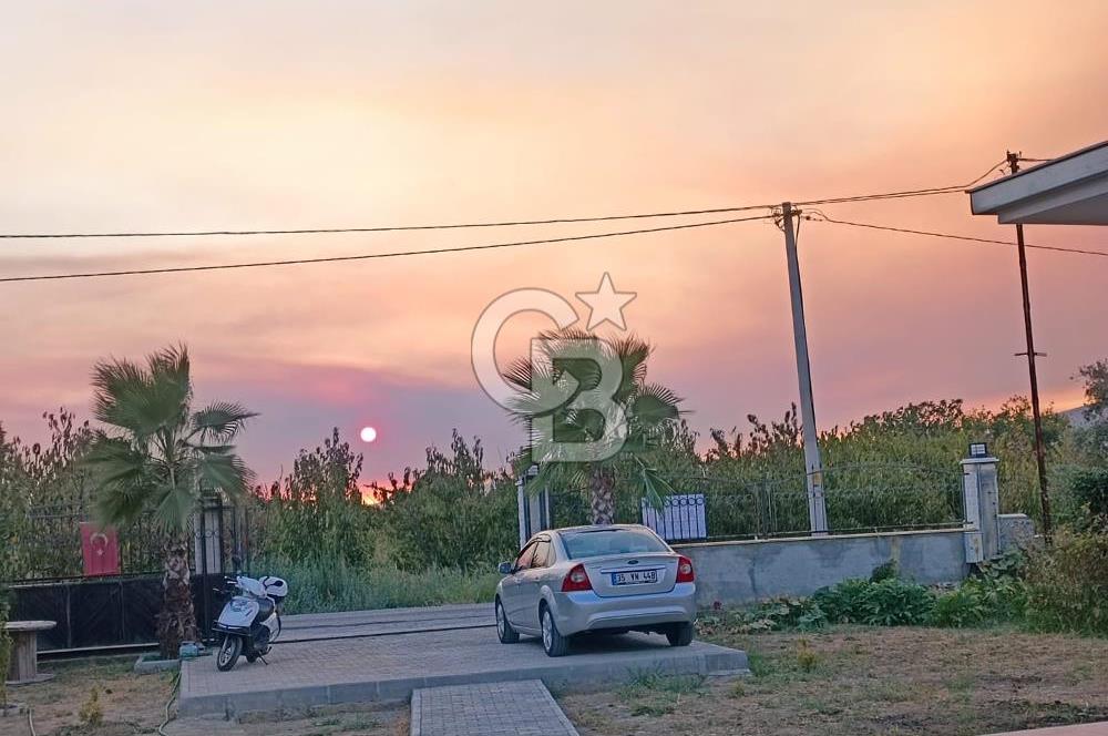 Kemalpaşa Armutlu Satılık Bağ Evi Ve Bahçesi