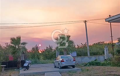 Kemalpaşa Armutlu Satılık Bağ Evi Ve Bahçesi