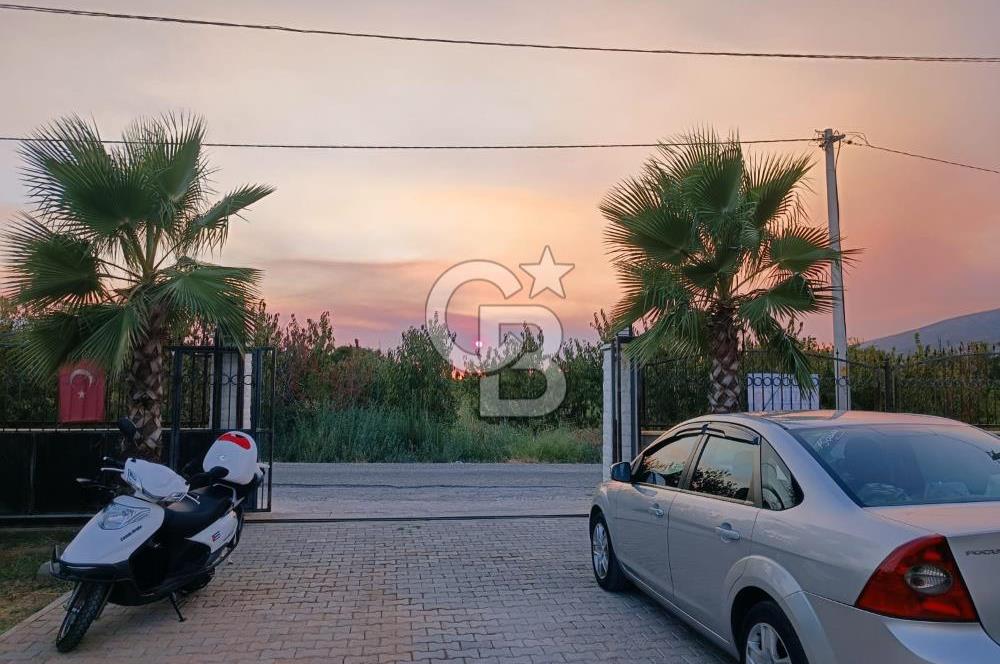 Kemalpaşa Armutlu Satılık Bağ Evi Ve Bahçesi