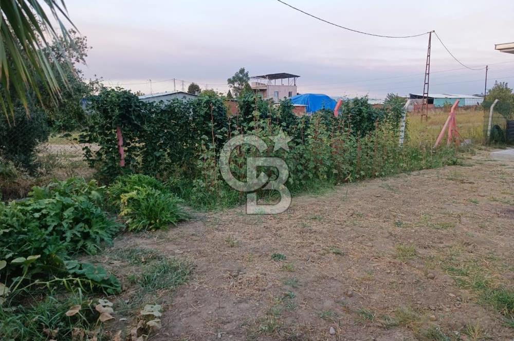 Kemalpaşa Armutlu Satılık Bağ Evi Ve Bahçesi