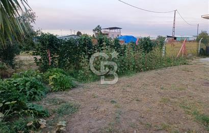 Kemalpaşa Armutlu Satılık Bağ Evi Ve Bahçesi