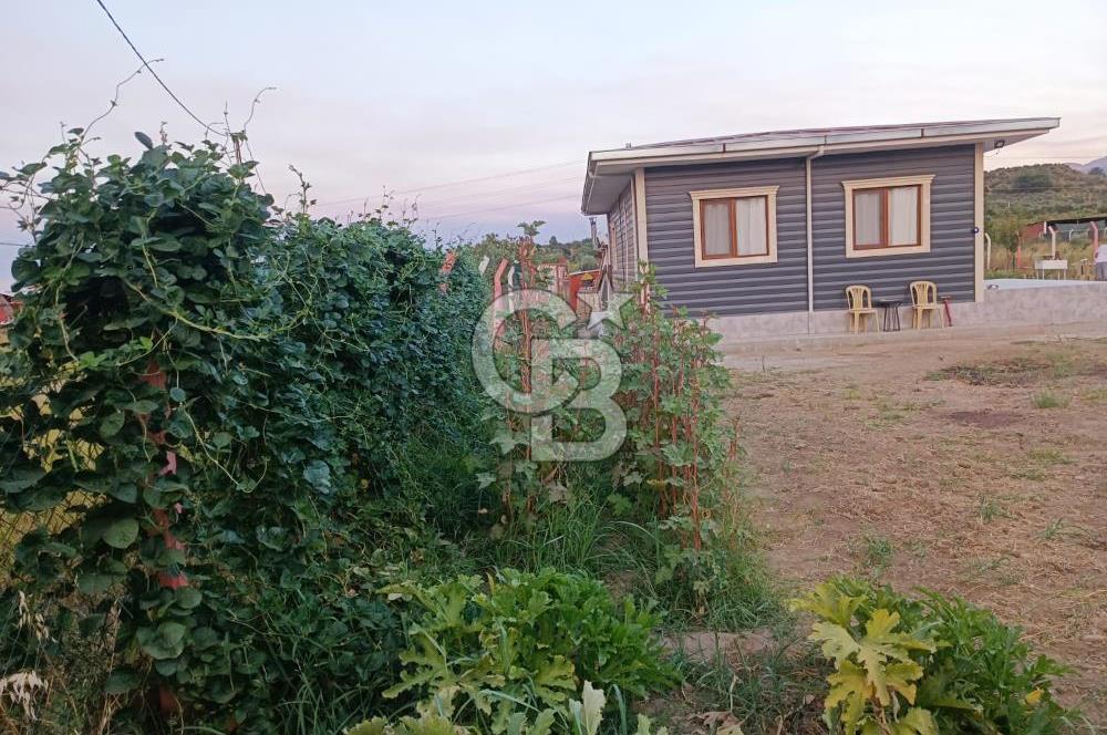 Kemalpaşa Armutlu Satılık Bağ Evi Ve Bahçesi