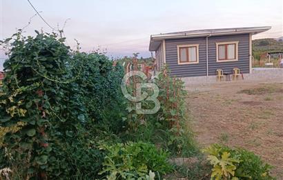 Kemalpaşa Armutlu Satılık Bağ Evi Ve Bahçesi
