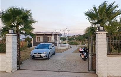 Kemalpaşa Armutlu Satılık Bağ Evi Ve Bahçesi