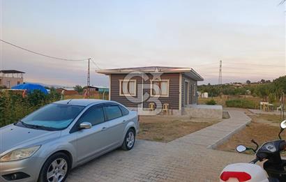 Kemalpaşa Armutlu Satılık Bağ Evi Ve Bahçesi