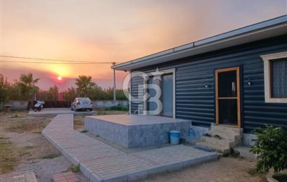 Kemalpaşa Armutlu Satılık Bağ Evi Ve Bahçesi