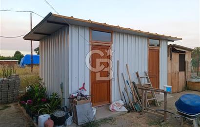 Kemalpaşa Armutlu Satılık Bağ Evi Ve Bahçesi