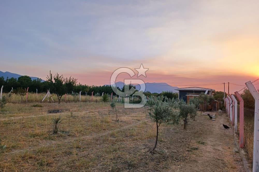Kemalpaşa Armutlu Satılık Bağ Evi Ve Bahçesi