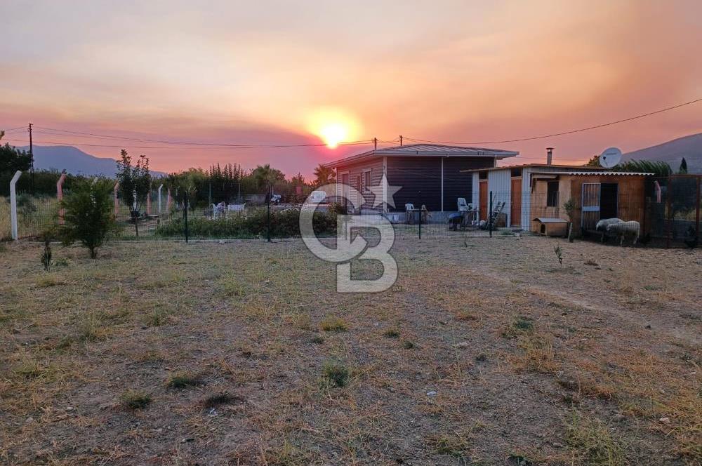 Kemalpaşa Armutlu Satılık Bağ Evi Ve Bahçesi