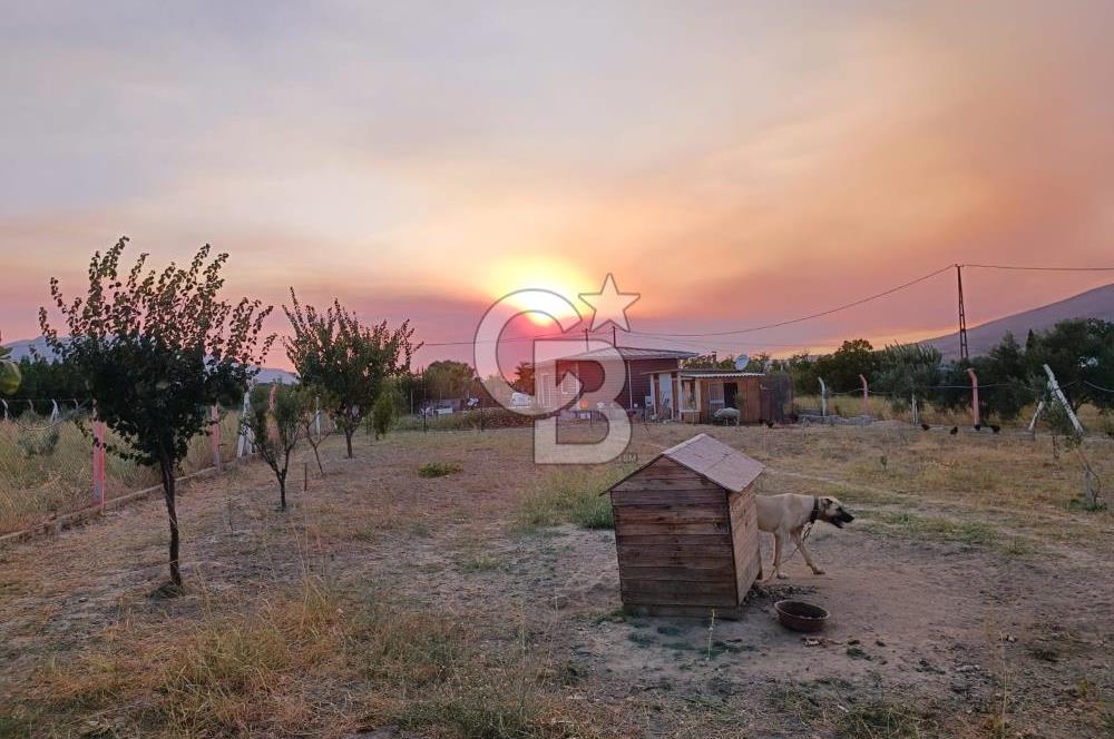 Kemalpaşa Armutlu Satılık Bağ Evi Ve Bahçesi