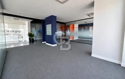 Bayraklı Novus Tower da Deniz Manzaralı Kiralık Yarım Kat Ofis 