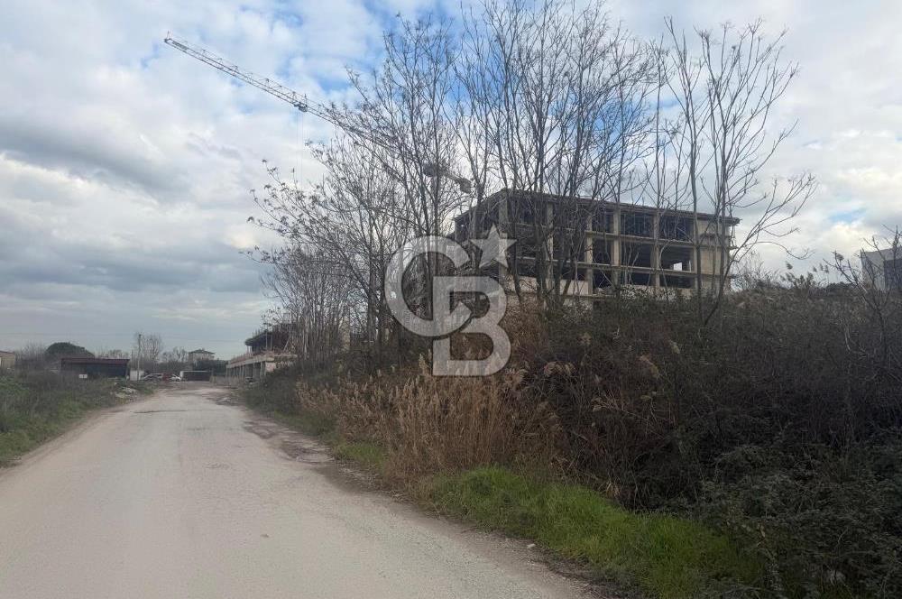 YALOVA TAVŞANLDA SATILIK TİCARİ İMARLI ARSA TERSANELERE YAKIN!