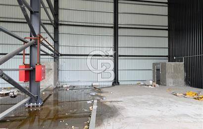 YALOVA ALTINOVA TERSANELER BÖLGESİNDE SATILIK 560 M2DEPO HANGAR!