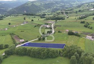 Köseli de Bungalov ve Tarla - 1 - 359267