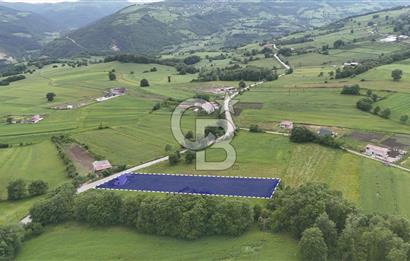 Köseli de Bungalov ve Tarla