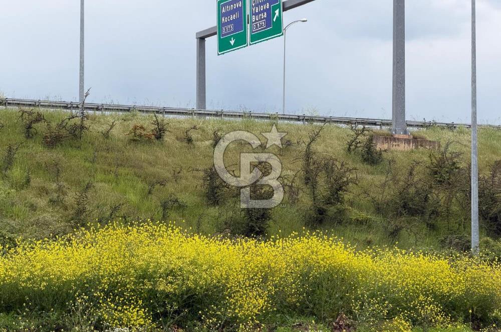 YALOVA ALTINOVA TERSANELER BÖLGESİNDE SATILIK 560 M2DEPO HANGAR!