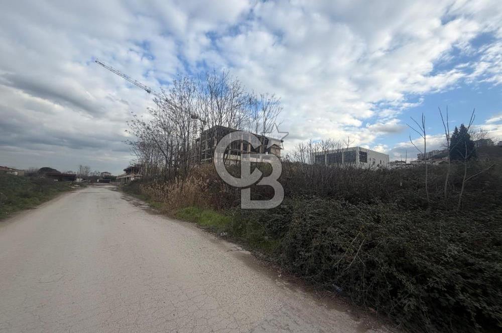 YALOVA TAVŞANLDA SATILIK TİCARİ İMARLI ARSA TERSANELERE YAKIN!