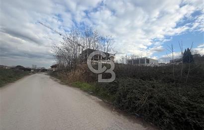 YALOVA TAVŞANLDA SATILIK TİCARİ İMARLI ARSA TERSANELERE YAKIN!