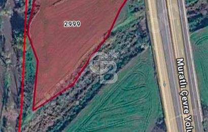 TEKİRDAĞ MURATLI'DA SATILIK YATILIMLIK FIRSAT TARLA 