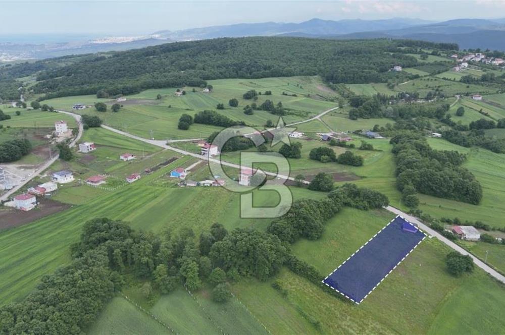 Köseli de Bungalov ve Tarla