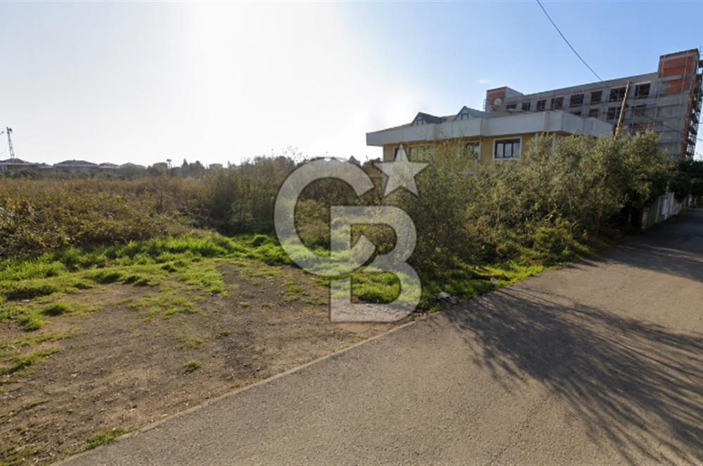 TUZLA YAYLA BARBAROS CADDESİ YAKINI KONUT İMARLI HİSSE