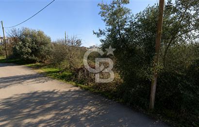 TUZLA YAYLA BARBAROS CADDESİ YAKINI KONUT İMARLI HİSSE