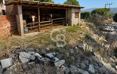 İzmir Bergama Terzihaliller Köy İçi Satılık Arazi