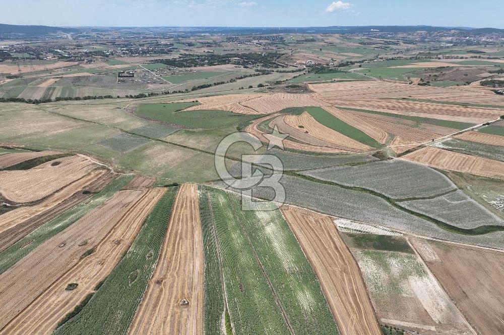 ÇATALCA NAKKAŞDA 328 M2 SATILIK ARSA