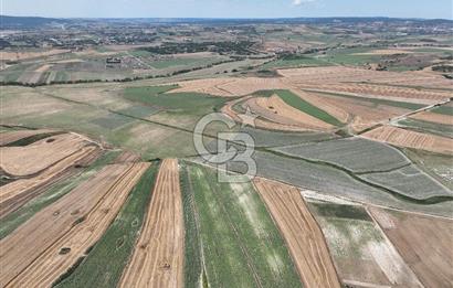 ÇATALCA NAKKAŞDA 328 M2 SATILIK ARSA