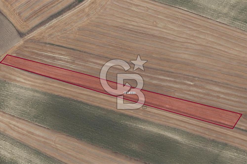 ÇATALCA NAKKAŞDA 328 M2 SATILIK ARSA