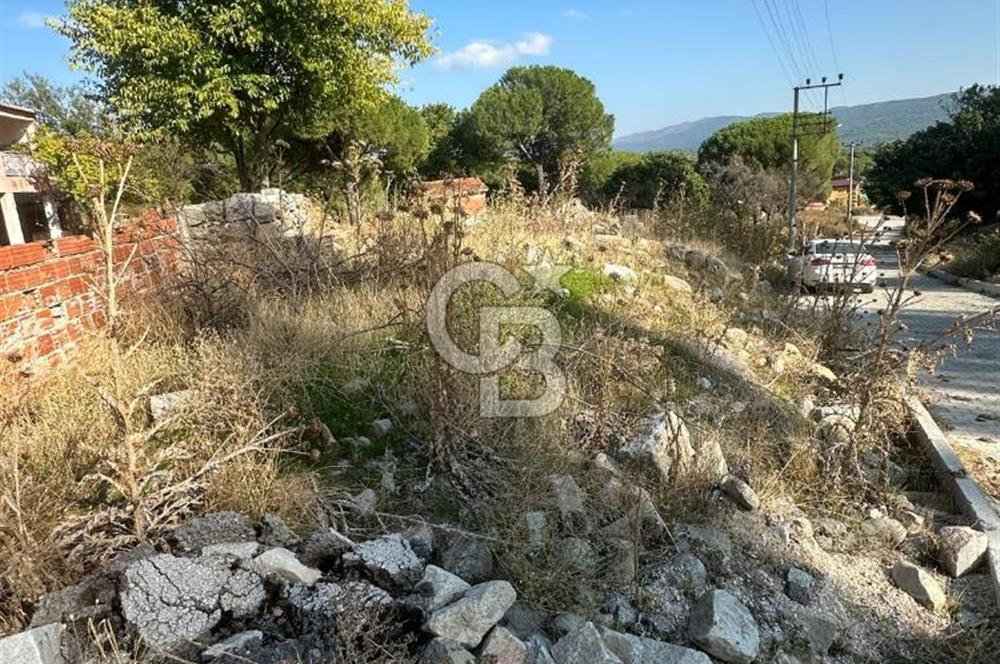 İzmir Bergama Terzihaliller Köy İçi Satılık Arazi