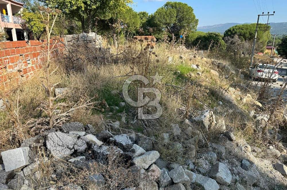 İzmir Bergama Terzihaliller Köy İçi Satılık Arazi