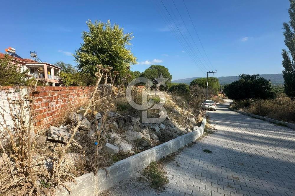 İzmir Bergama Terzihaliller Köy İçi Satılık Arazi