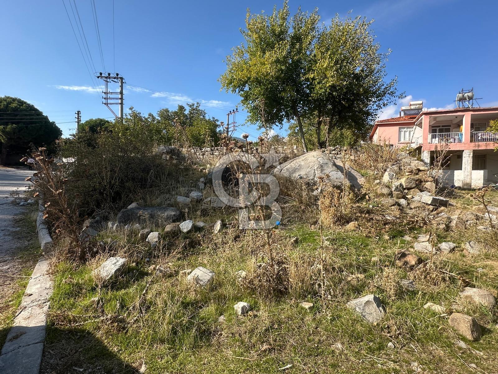 İzmir Bergama Terzihaliller Köy İçi Satılık Arazi