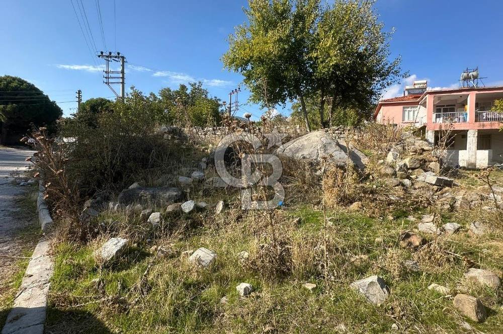 İzmir Bergama Terzihaliller Köy İçi Satılık Arazi